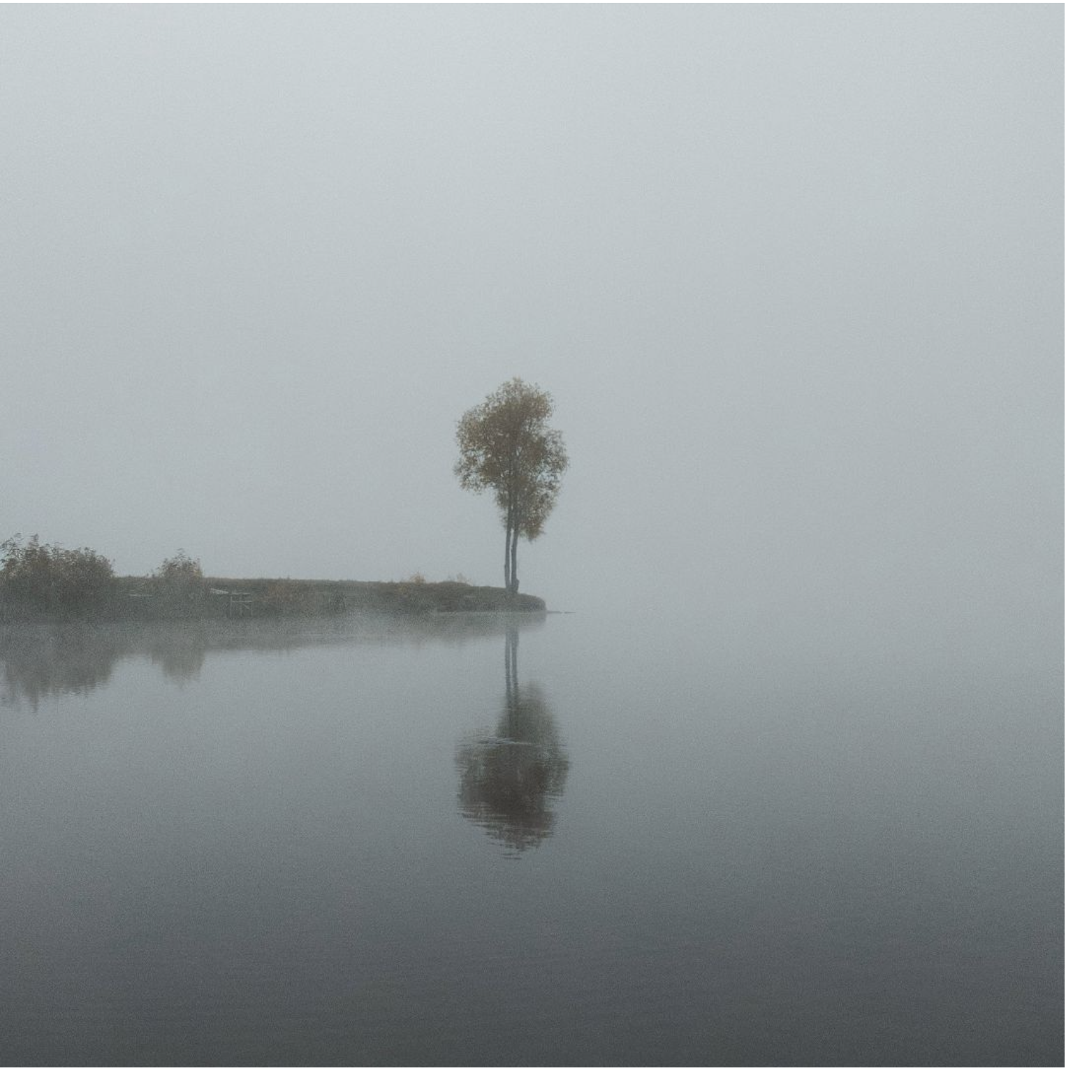 A single tree stands at the end of a piece of land on a body of water. The sky and water blend into each other.